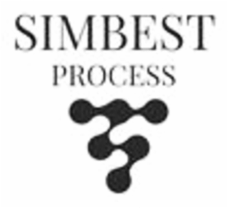 SIMBEST PROCESS