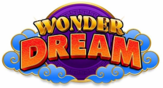 WONDER DREAM