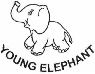 YOUNG ELEPHANT