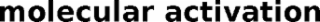 MOLECULAR ACTIVATION