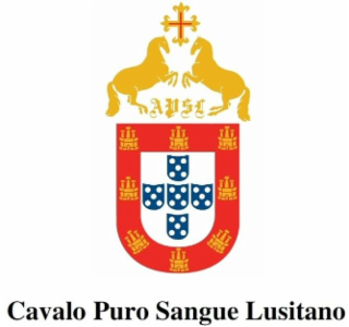 APSL CAVALO PURO SANGUE LUSITANO