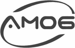AM06