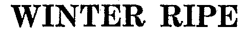 Image Trademark