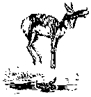 Image Trademark