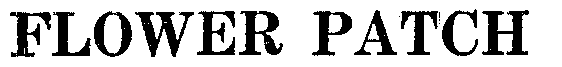 Image Trademark