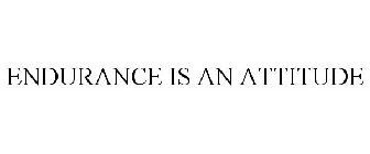 ENDURANCE IS AN ATTITUDE