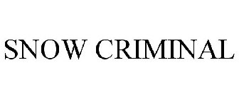SNOW CRIMINAL