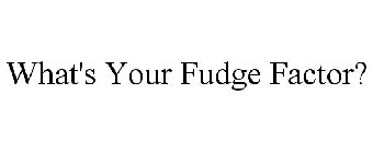 WHAT'S YOUR FUDGE FACTOR?