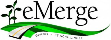 EMERGE GENETICS - BY SCHILLINGER