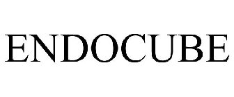 ENDOCUBE