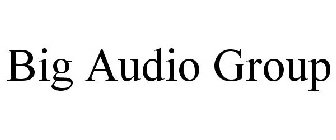 BIG AUDIO GROUP