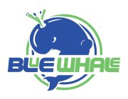 BLUE WHALE