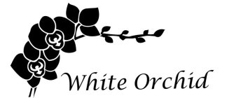 WHITE ORCHID