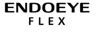 ENDOEYE FLEX