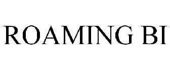 ROAMING BI