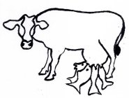 Image Trademark