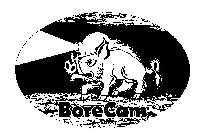 BORECAM