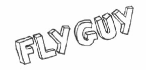 FLY GUY