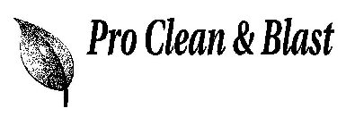 PRO CLEAN & BLAST