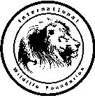 INTERNATIONAL WILDLIFE FOUNDATION