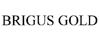 BRIGUS GOLD