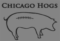 CHICAGO HOGS