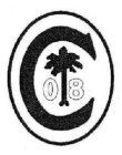 C 08