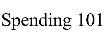 SPENDING 101