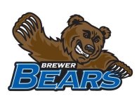 BREWER BEARS