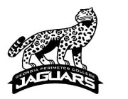 GEORGIA PERIMETER COLLEGE JAGUARS