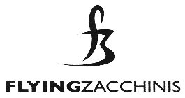 FZ FLYINGZACCHINIS