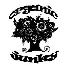 ORGANIC JUNKY