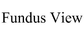 FUNDUS VIEW