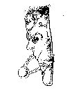 Image Trademark