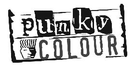 PUNKY COLOUR