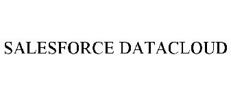 SALESFORCE DATACLOUD