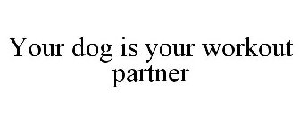 YOUR DOG IS YOUR WORKOUT PARTNER