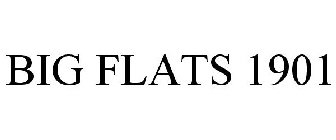 BIG FLATS 1901