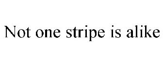 NOT ONE STRIPE IS ALIKE