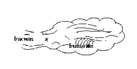 BREATHNOTES BY BREATHSPIRATION