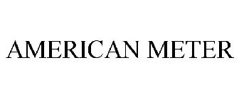 AMERICAN METER