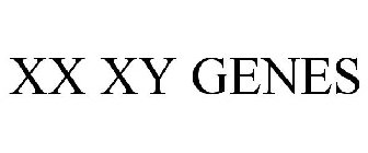 XX XY GENES