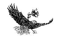 PROPHET