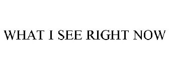 WHAT I SEE RIGHT NOW