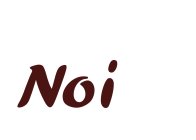 NOI