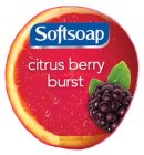 SOFTSOAP CITRUS BERRY BURST