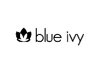 BLUE IVY