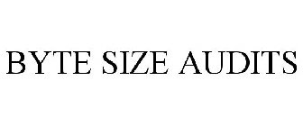 BYTE SIZE AUDITS