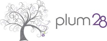 PLUM 28