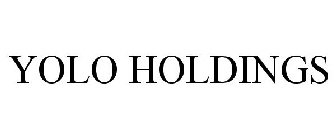 YOLO HOLDINGS